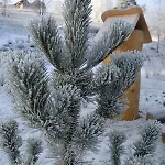 Dağ evi Lesniowka W Karpaczu Karpacz