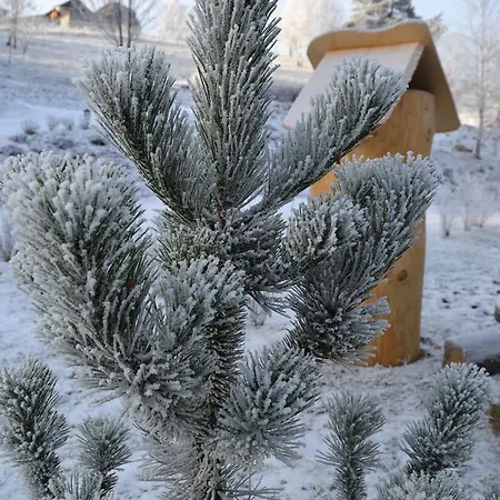 Alpehytte Lesniowka W Karpaczu Karpacz