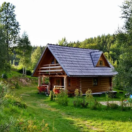 Lesniowka W Karpaczu * קרפאז'