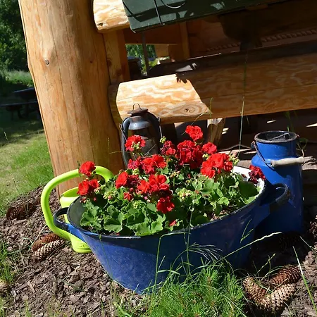 Lesniowka W Karpaczu