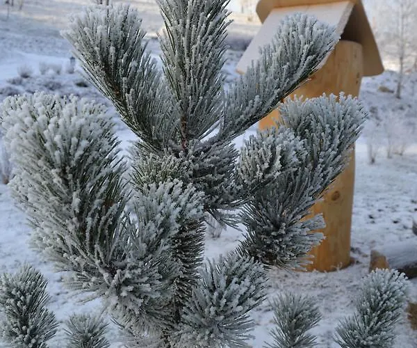 Шале Lesniowka W Karpaczu Карпач